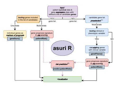 Workflow diagram of the package ASURI showing the decision-making lines and the five main functions.